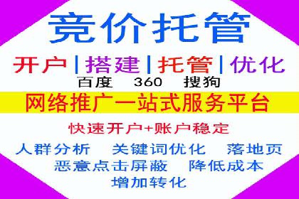 SEM专员案例：跨平台广告投放策略